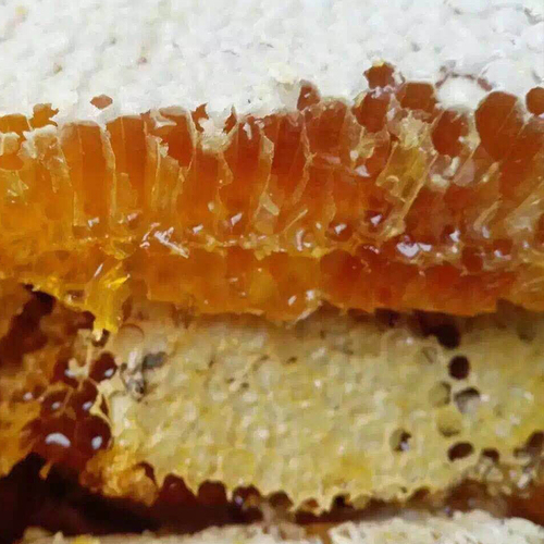 野生蜂蜜