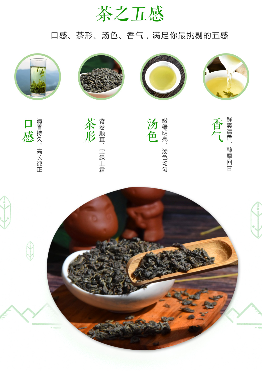 老姆登高山绿茶袋装250g