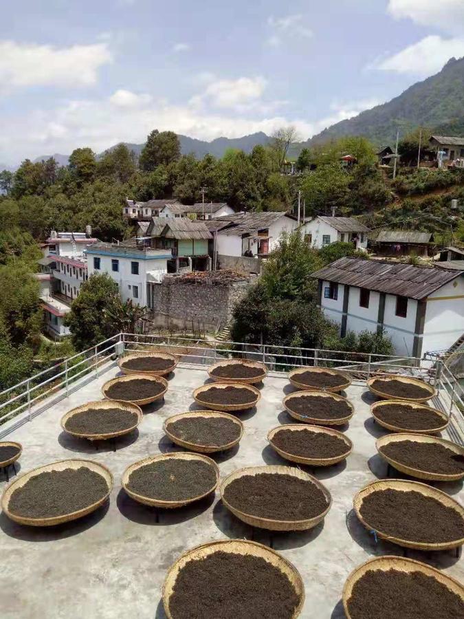 福贡老姆登高山茶种植农民专业合作社